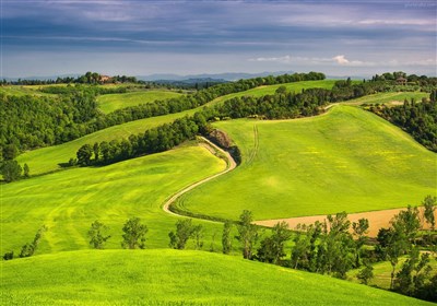 Selected Image
